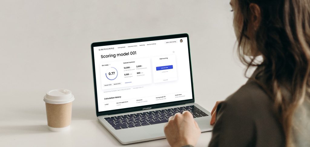 Scoring model created by GiniMachine - no-code AI for decision-making, by HES FinTech