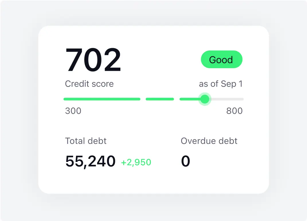 Credit Report in Islamic Lending Platform