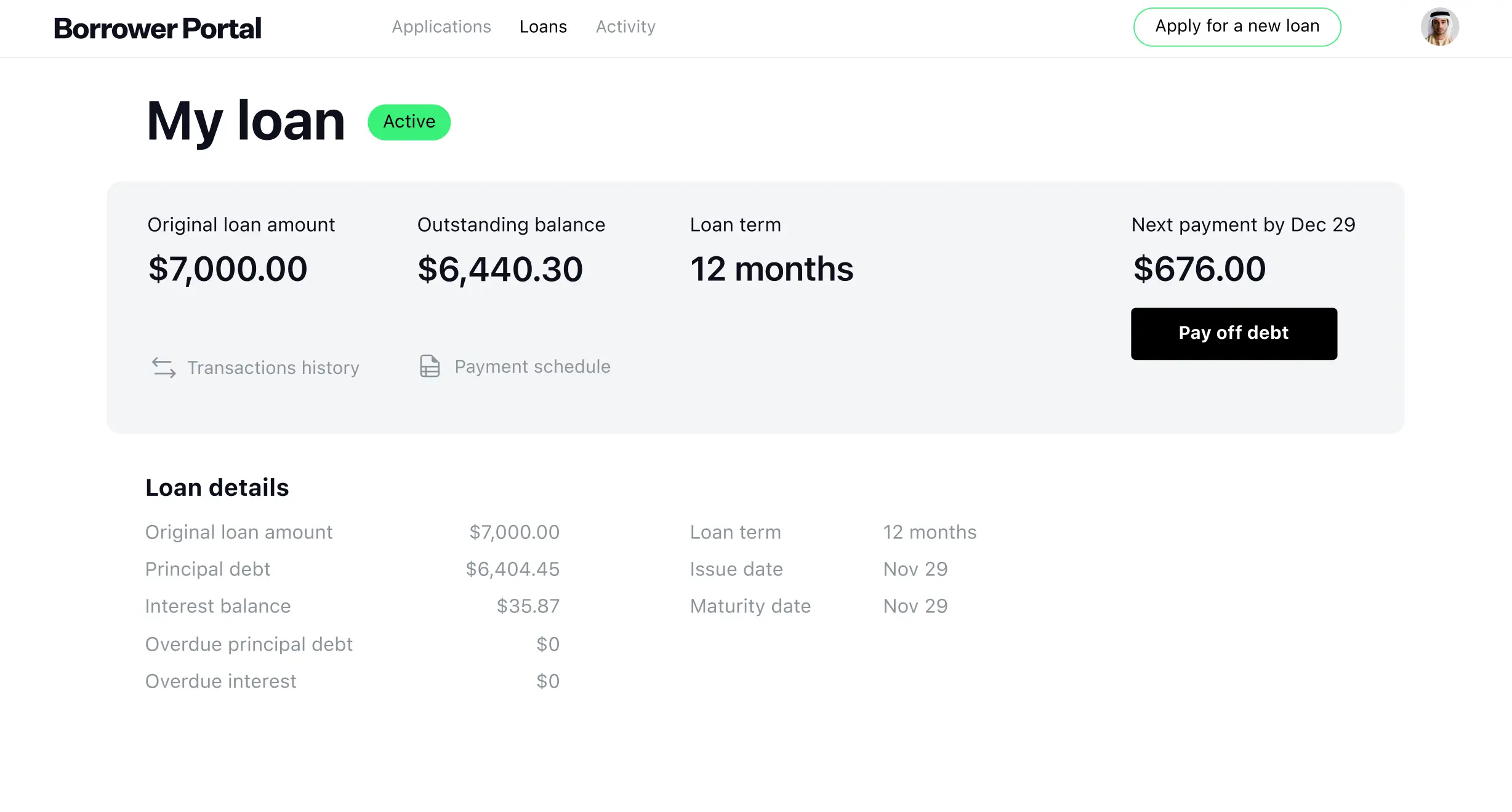 Active Loans in the Borrower Portal