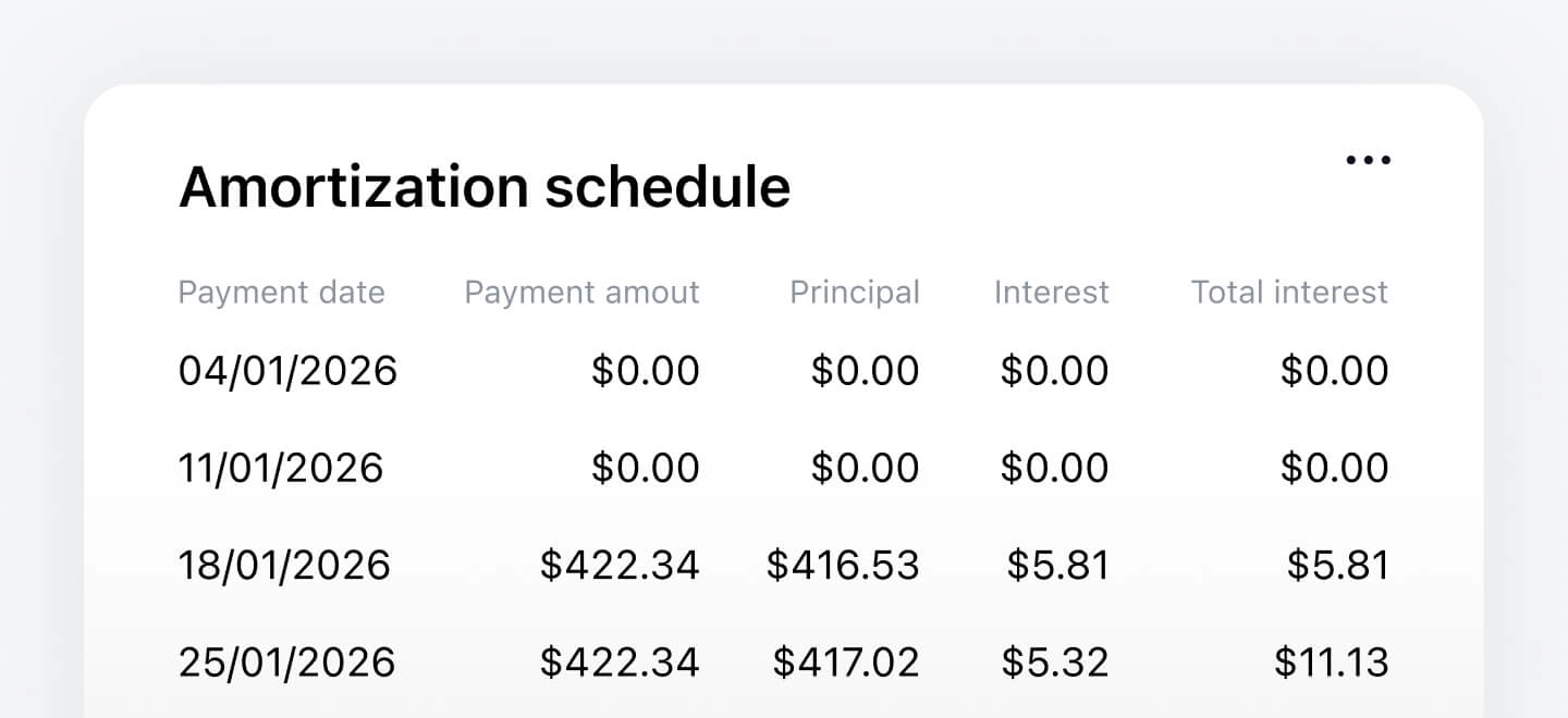 Amortization schedule
