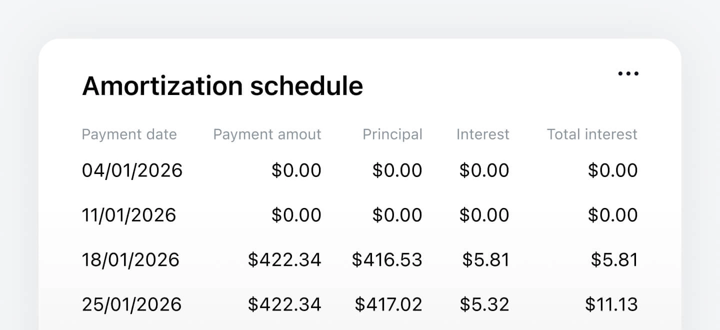 Amortization schedule_Payment holidays